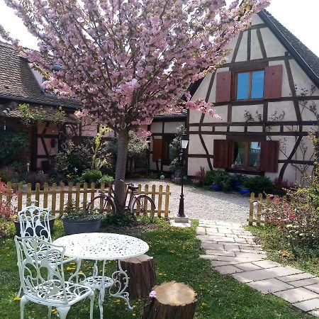 Hissele Bed & Breakfast Hilsenheim Екстериор снимка
