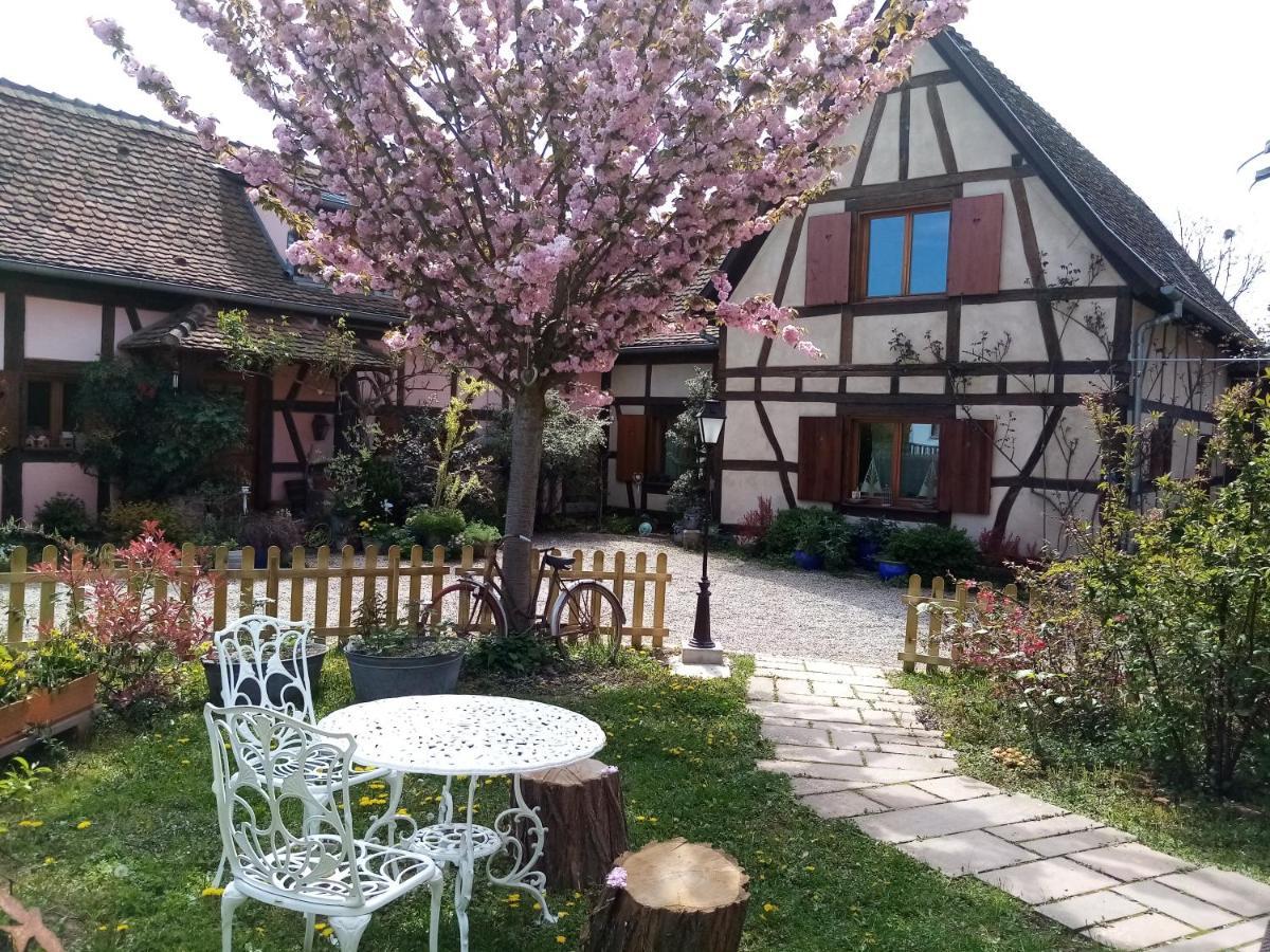 Hissele Bed & Breakfast Hilsenheim Екстериор снимка